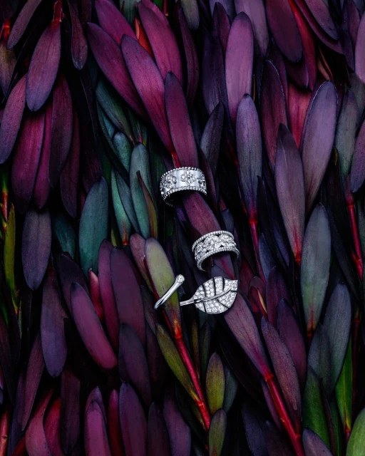 Ginsburg & Associates