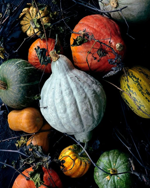 Ginsburg & Associates