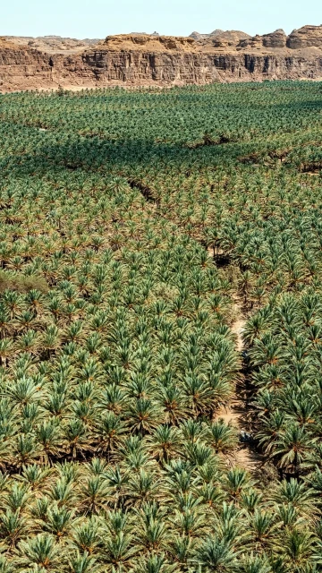 Creative Exchange Agency