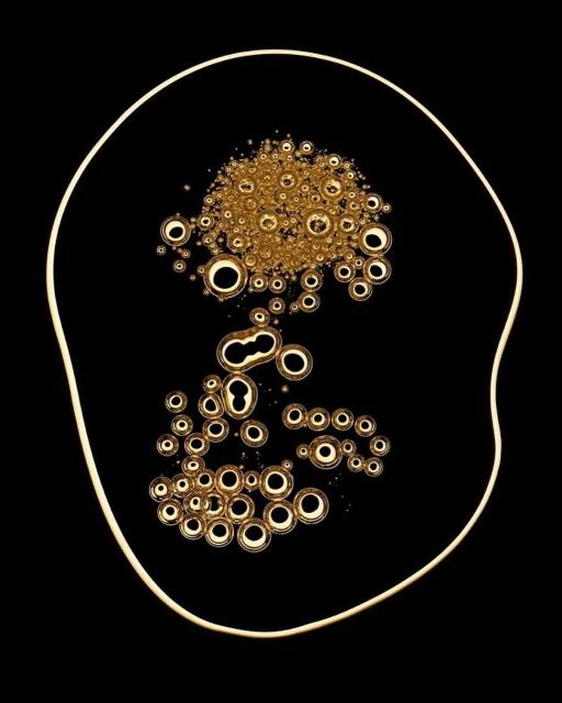 Creative Exchange Agency