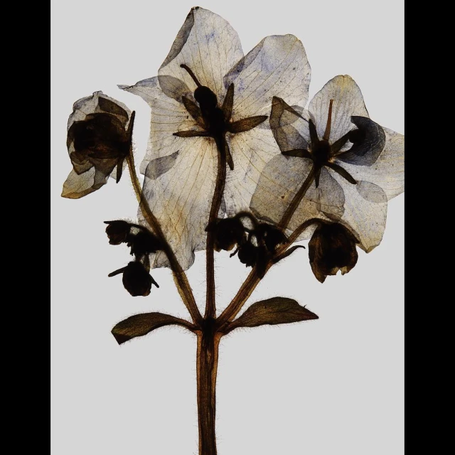 Creative Exchange Agency