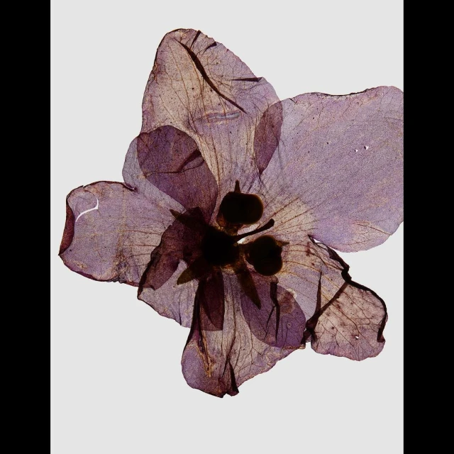 Creative Exchange Agency