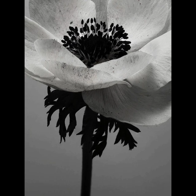 Creative Exchange Agency