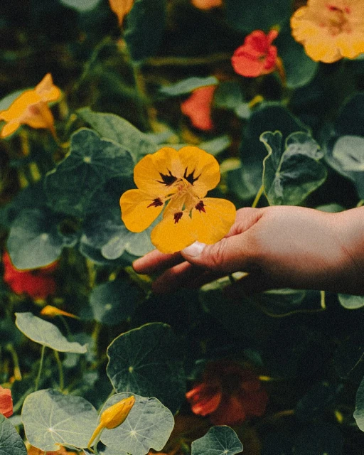 Marianne Campbell Associates