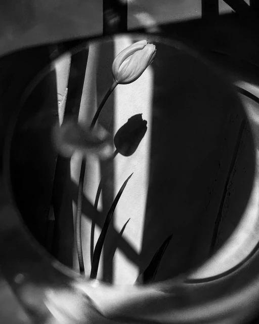 Sarah Van Rij & David Van Der Leeuw