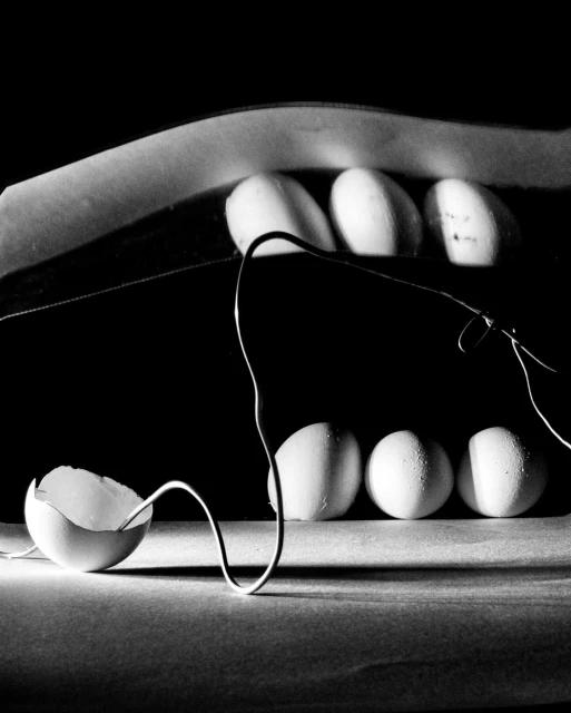 Sarah Van Rij & David Van Der Leeuw