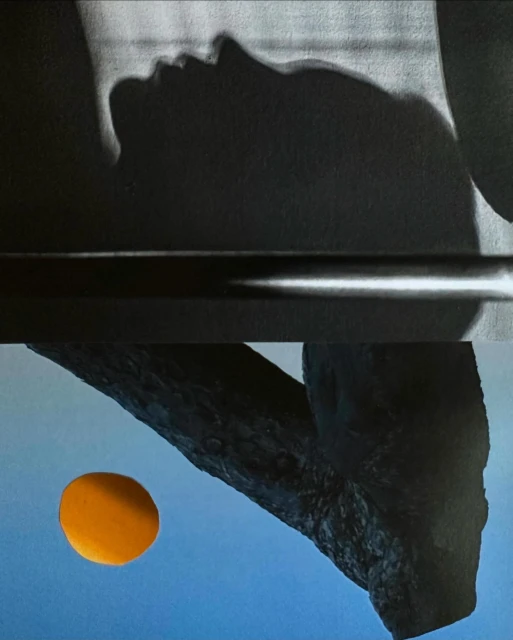 Sarah Van Rij & David Van Der Leeuw