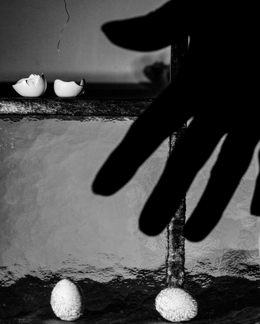 Sarah Van Rij & David Van Der Leeuw