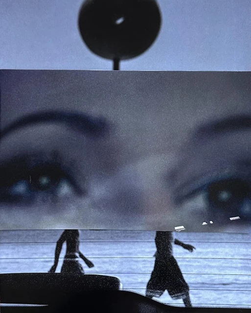 Sarah Van Rij & David Van Der Leeuw