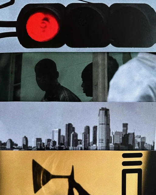 Sarah Van Rij & David Van Der Leeuw