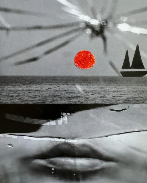 Sarah Van Rij & David Van Der Leeuw