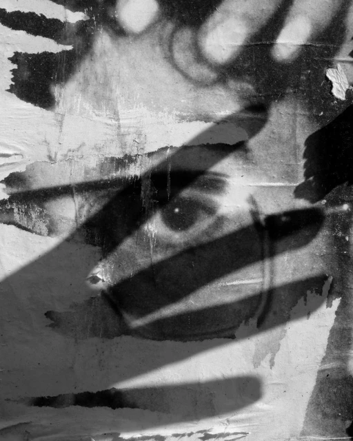 Sarah Van Rij & David Van Der Leeuw