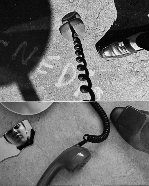 Sarah Van Rij & David Van Der Leeuw