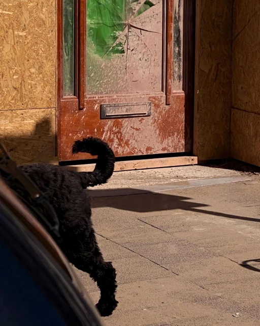 Sarah Van Rij & David Van Der Leeuw