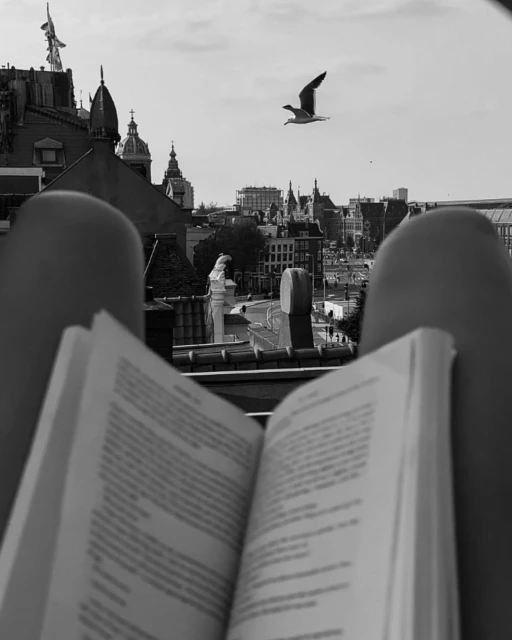 Sarah Van Rij & David Van Der Leeuw