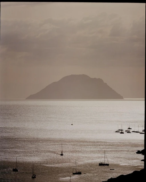 Sebastian Sabal-bruce