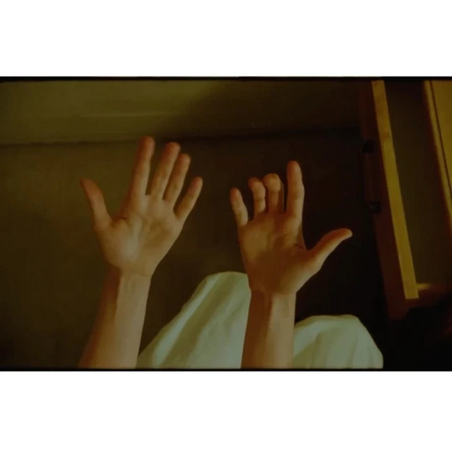 Sebastian Sabal-bruce