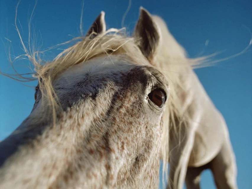 Wyatt-Clarke & Jones