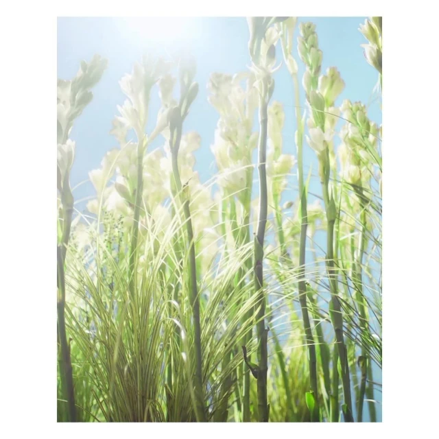 Valerie Paumelle Agent