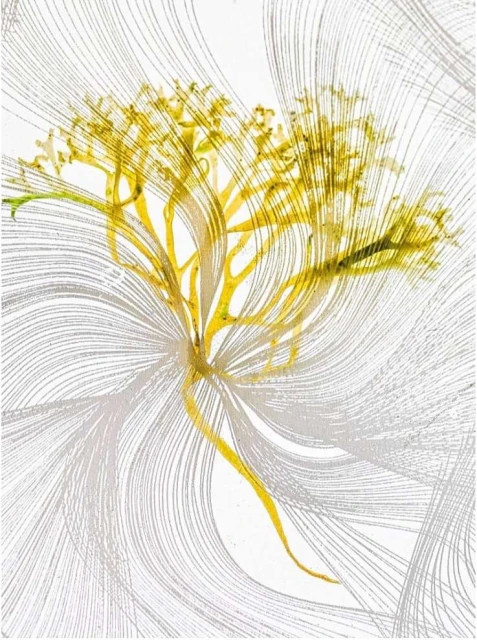 Valerie Paumelle Agent