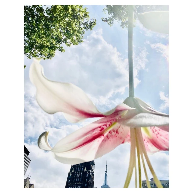 Valerie Paumelle Agent