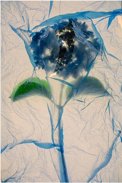 Valerie Paumelle Agent