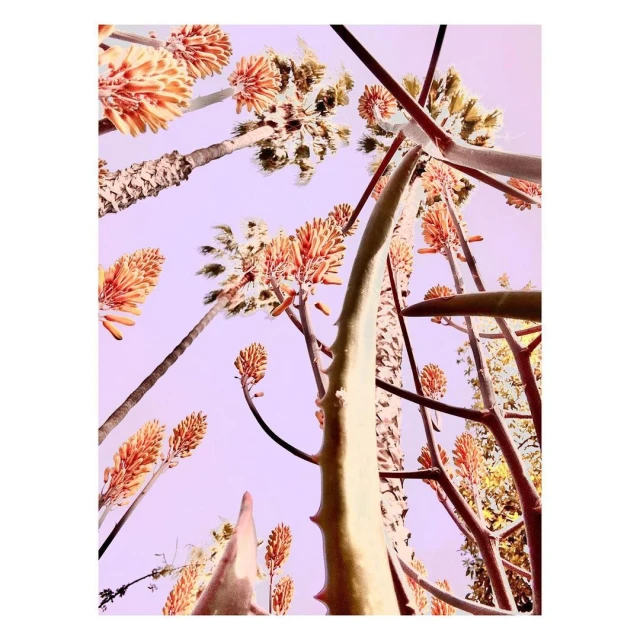 Valerie Paumelle Agent