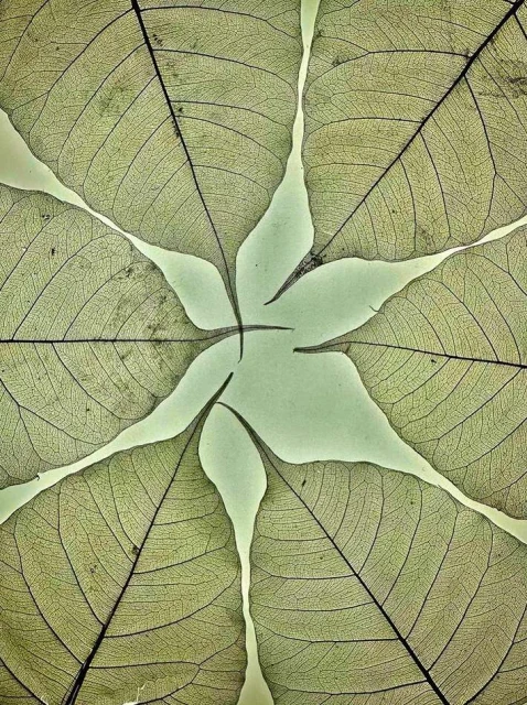 Valerie Paumelle Agent