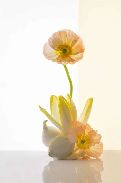 Valerie Paumelle Agent