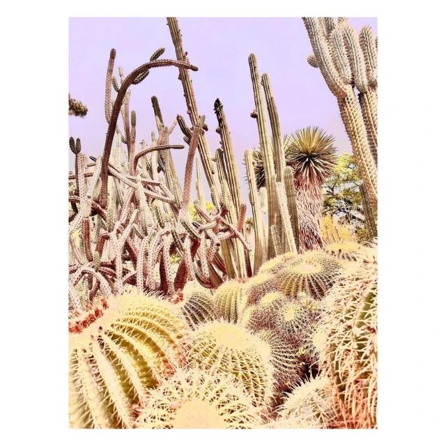 Valerie Paumelle Agent