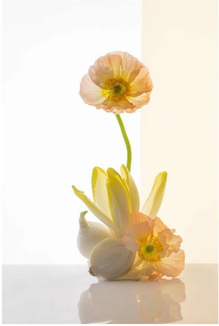 Valerie Paumelle Agent