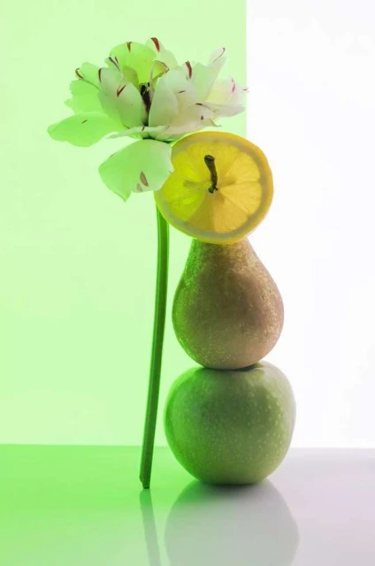 Valerie Paumelle Agent