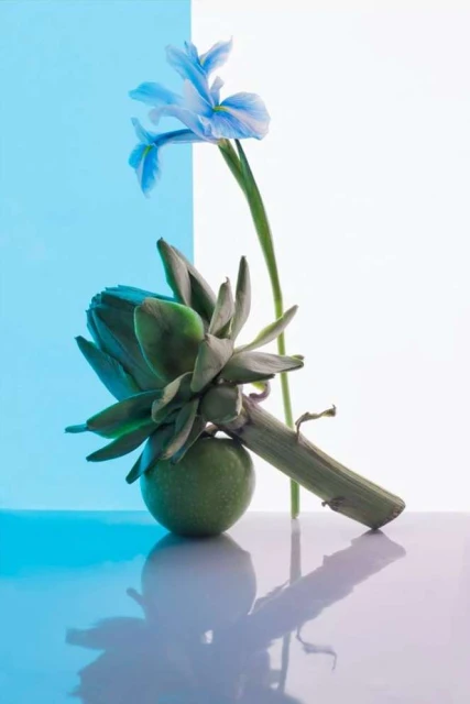 Valerie Paumelle Agent