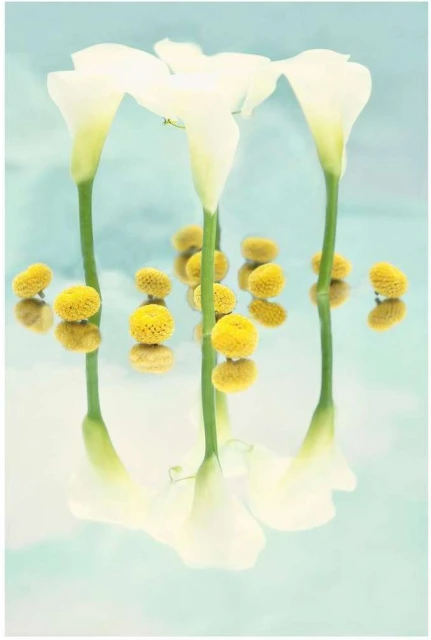 Valerie Paumelle Agent