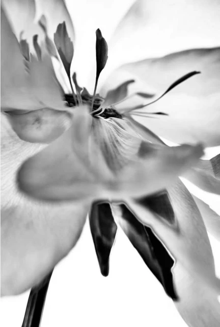 Valerie Paumelle Agent