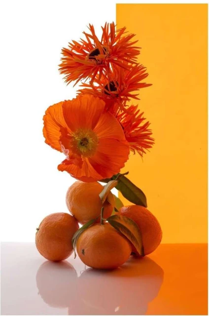 Valerie Paumelle Agent