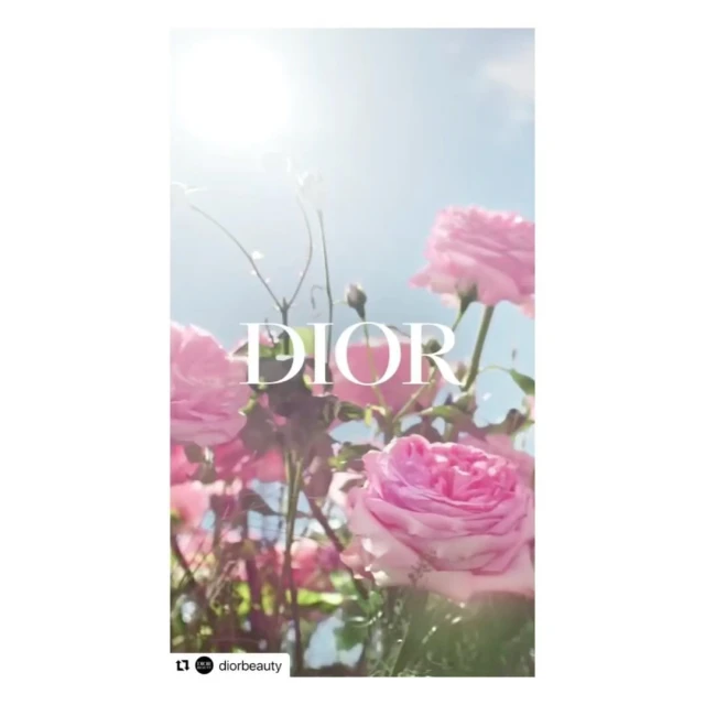 Valerie Paumelle Agent