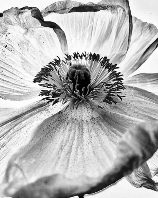 Valerie Paumelle Agent