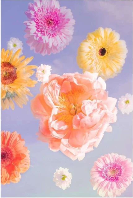 Valerie Paumelle Agent