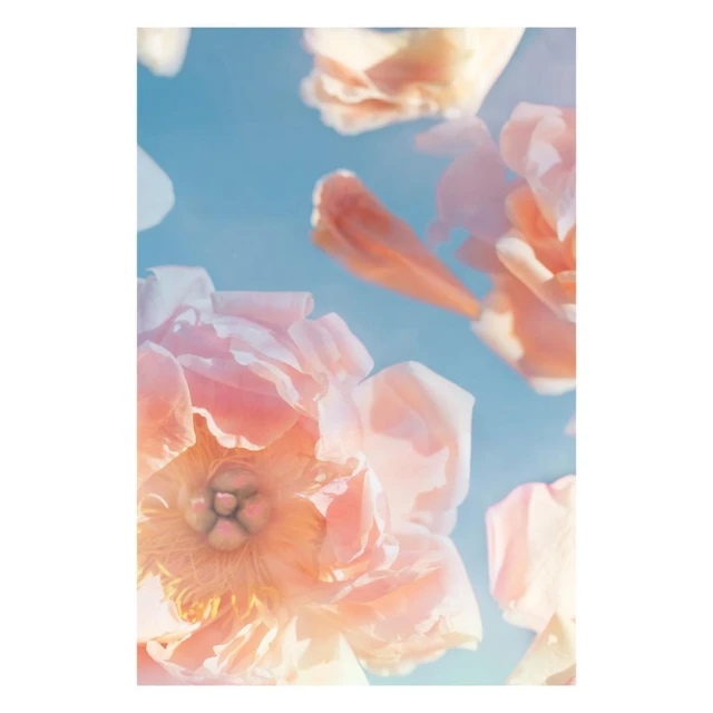 Valerie Paumelle Agent