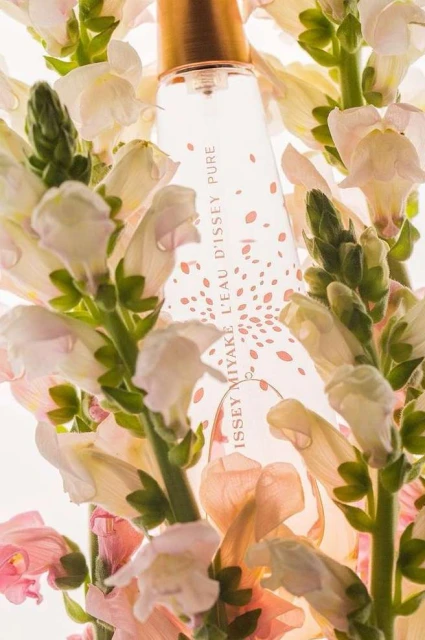 Valerie Paumelle Agent