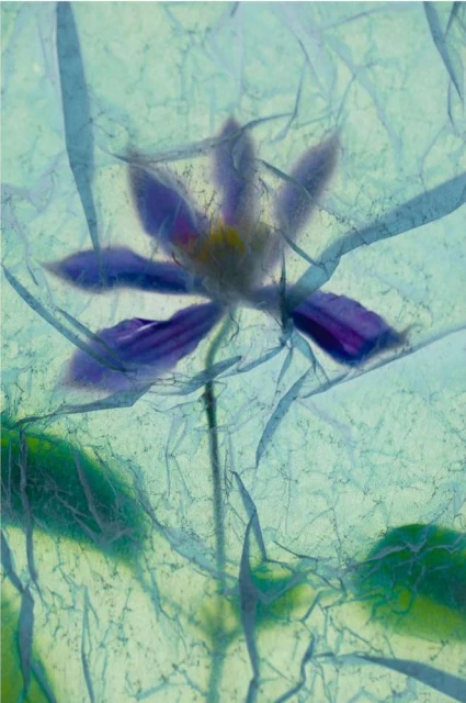 Valerie Paumelle Agent