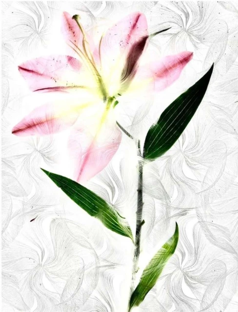 Valerie Paumelle Agent