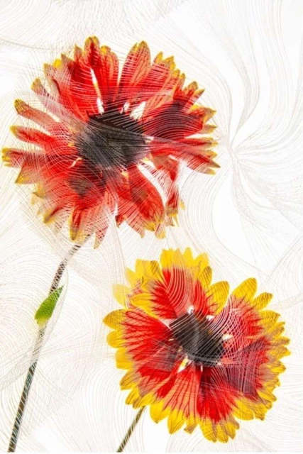 Valerie Paumelle Agent