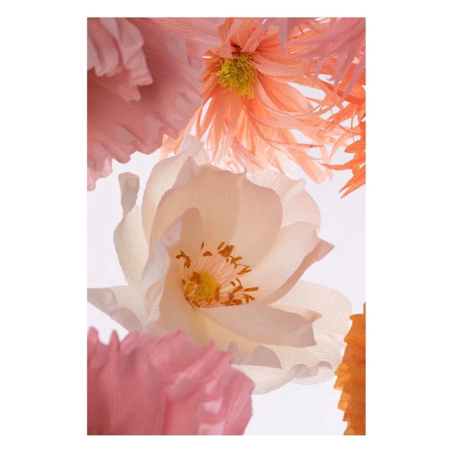 Valerie Paumelle Agent