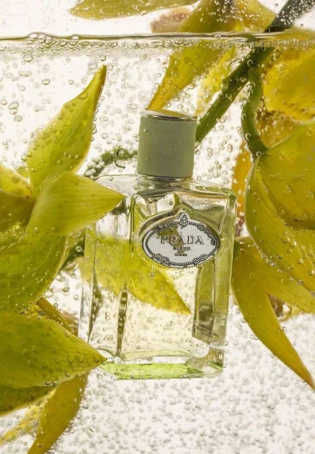 Valerie Paumelle Agent