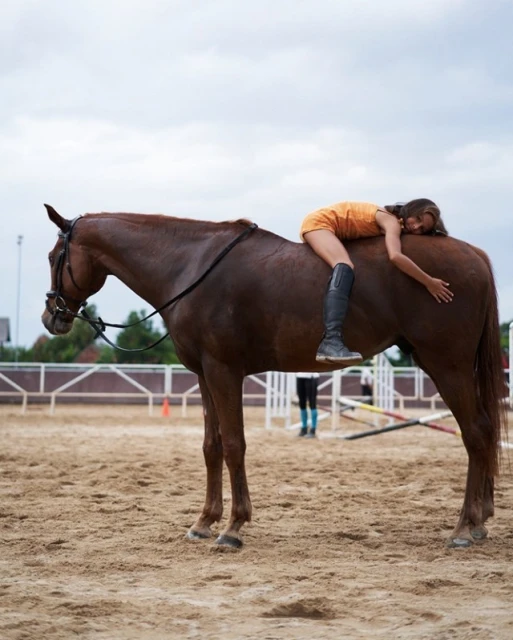 Laird and Good Company