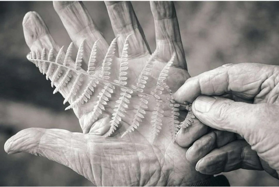 Laird and Good Company