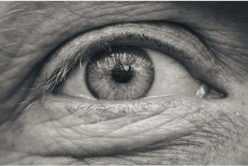 Laird and Good Company