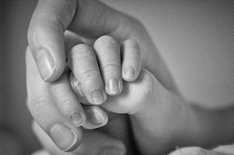 Laird and Good Company